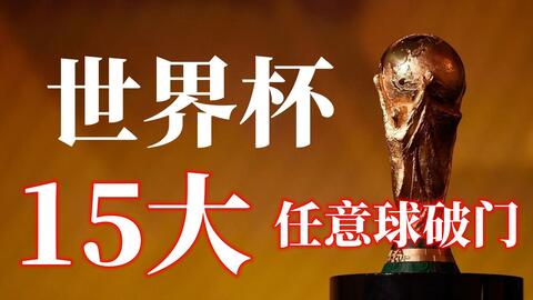中的无可替