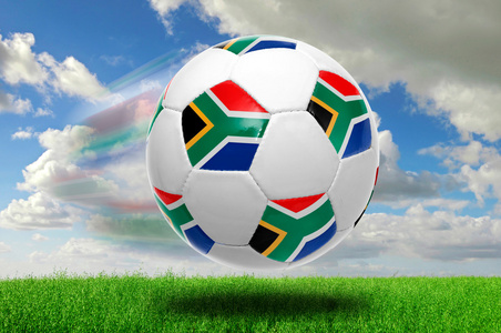 术多样性 术多样性