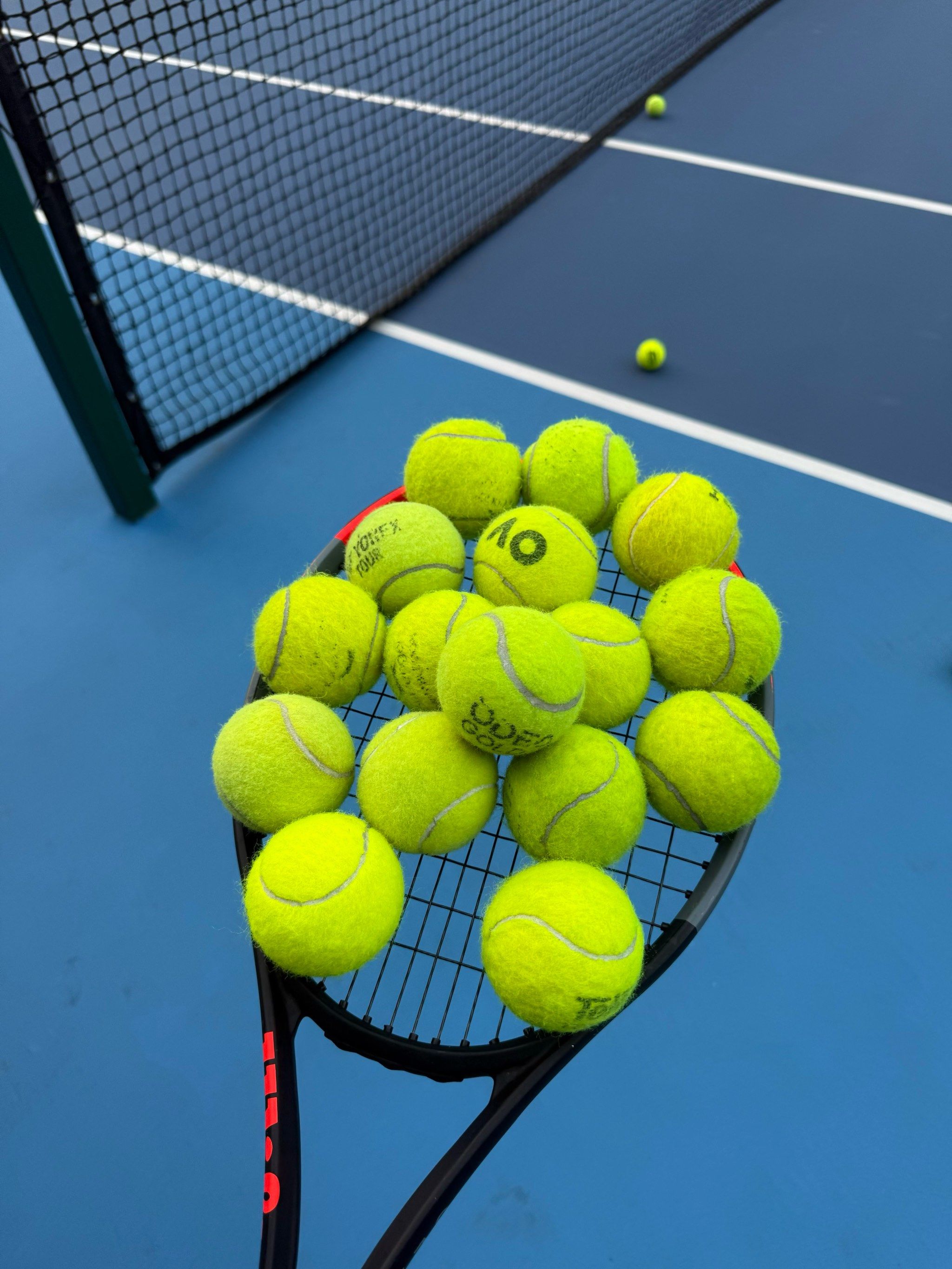 州雄狮第一 州雄狮第一